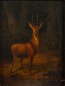 German School, 19th Century - Stag in a woodland clearing - Oil on panel - 20 x 15.5cm - 36 x 31.