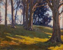 Hans Iten (Swiss 1874-1930) - Trees in Sunlight - Oil on board - 26 x 34cm - Signed lower left