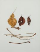Kate Nessler (British, Contemporary) - Four Leaves with Stems - Watercolour - 29 x 22.