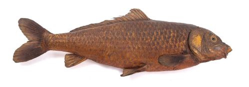 A taxidermy Brown Carp, unmounted, 67cm long, boxed.
