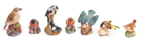 A group of seven Royal Worcester porcelain Birds.