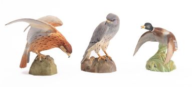 Three Spode ceramic models of birds.