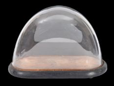 An Edwardian glass taxidermy or clock dome, the arched glass dome on an ebony socle, 36x26cm.