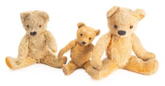 A collection of three teddy bears.