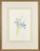 Polly Fuller - Two watercolour studies of flowers - Each approximately 48 x 38cm framed - Each