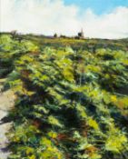 *Neil Davies (British,