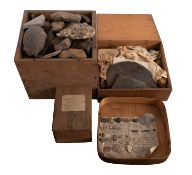 A collection of fossils and minerals, constituted early 20th century; predominantly English,