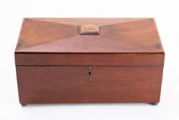 A Regency mahogany tea caddy, circa 1815; of sarcophagus form,