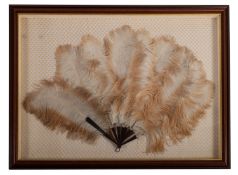 An ostrich feather and tortoiseshell fan, early 20th century; later mounted as opened,