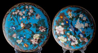 Two Japanese cloisonné plates, each decorated with two songbirds amongst flower and foliage.