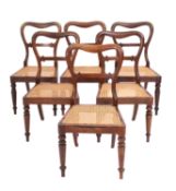 A set of six regency rosewood and canework side chairs in the manner of Gillow ,