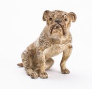 An Austrian cold painted bronze model of a bulldog, circa 1900; naturalistically portrayed,