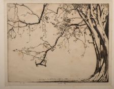 LUMSDEN, Ernest Stephen. Tree, etching, 1929, signed in pencil and numbered 51/52, f&g, 28cm x 34.