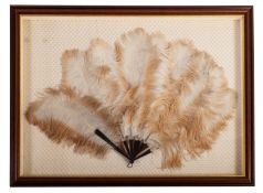 An ostrich feather and tortoiseshell fan