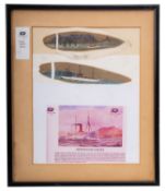 Two framed late 19th/early 20th century souvenir Silver Tree leaves taken from Table Mountain,