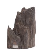 A section of timber from the 17th century Dutch warship 'Rikswasa' (Royal Wasa),