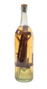 A late 19th Century Folk Art 'God in a Bottle',