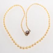 A cultured pearl necklace with a ruby set clasp, a graduated cultured pearl necklace, pearls approx.