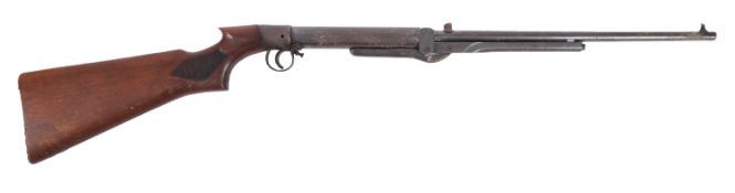 A BSA 1 bore .