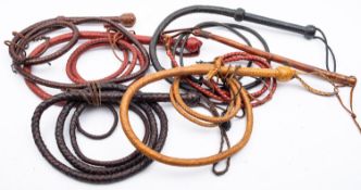 Six leather bull whips. Of various sizes and designs including one having a wooden handle.