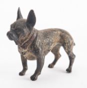 A late 19th/early 20th century cold painted bronze figure of a pug, unsigned, 5.5cm high.