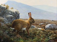 * Julian Friers (British, b. 1956) - Irish hare in a moorland landscape - Oil on board