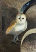 *Oliver Canti (British 20th Century) - 'The Observatory Owl' - Oil pastel on board - 90cm,