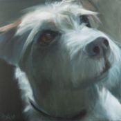 Linda Roast (British 20th Century) - 'Canine Portrait' - Oil on Canvas - 90 x 90cm unframed