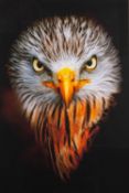 Brian Sedgbeer [British, Contemporary] - 'Mean Machine' Red Kite - Giclée print on acid free paper