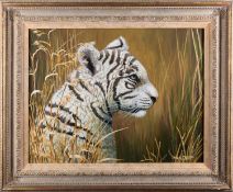 Mark Chester (British, b. 1960) - Young White Tiger - Acrylic on board - 34 x 44cm - 48.