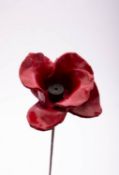 Paul Cummins and Tom Piper a ceramic poppy,