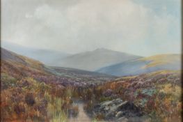 Frederick John Widgery (British 1861-1942) - Taw Marsh,