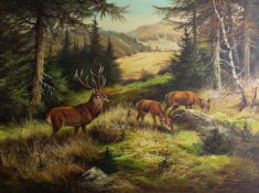 Continental School, 20th Century - Red Deer in a landscape - Oil on canvas - 58.5 x 78.5cm, 80.