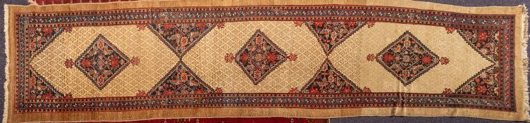 A Serapi runner,