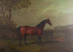 J E G Elmsall (British, 19th Century) - 'Chester' a bay horse in landscape,