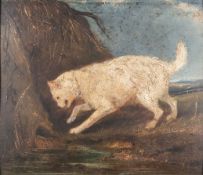 British School 19th Century - 'The Ratter Dog' - Oil on board - 29.5 x 34.