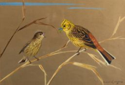 Ralston Gudgeon (British, 1910-1984) - Yellowhammer with her chick - Watercolour - 24.