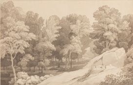 John White Abbot (British, 1763 - 1851) - Peamore Wood near Exeter - Pen,