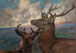 Alfred William Strutt (British, 1856-1924) - Study of red deer - Pastel - 24.5 x 34.