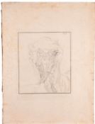 SCARPA, Antonio. Tabulae neurologicae..., a group of 10 (of 14)plates, [PAVIA: B.