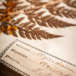 Antiquarian Book Sale