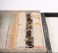 Six boxes of microscope slides, comprising Freshwater algae, marine organisms etc,