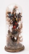 A late 19th century taxidermy display of exotic birds,