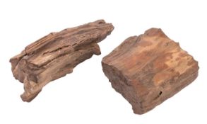 Two pieces of petrified wood.
