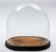 An early 20th Century glass dome. On an ebonised socle, 44cm high, 45cm wide.