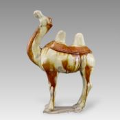 A Sancai-glazed Pottery Pottery Figure of a Camel, Tang dynasty