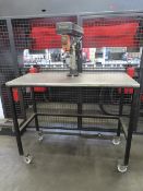 2008, Sealey Benchtop 16 Speed Pillar Drill, Serial No: 20080439 and Metal Table.