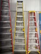 Rock River 10' Fiberglass Step Ladder - Rigging Fee: $10