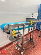 Portable S/S Conveyor: 65