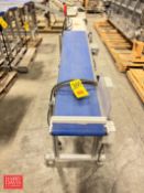 Belt Conveyor: 61” Length x 12.5” Width with Drive and Lenze Variable-Frequency Drive - Rigging Fee: